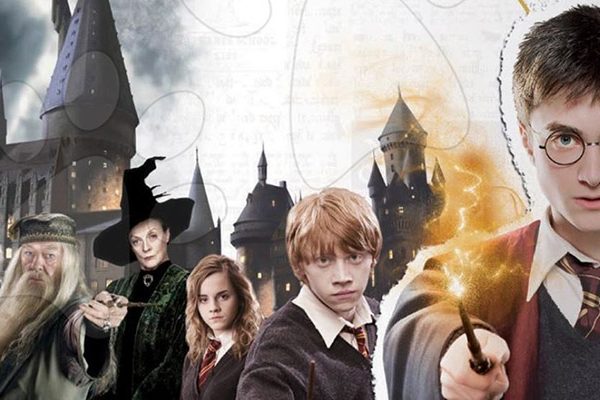 Harry Potter: Rok v Bradavicích